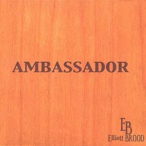 Ambassador